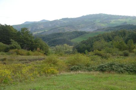 DSC01305